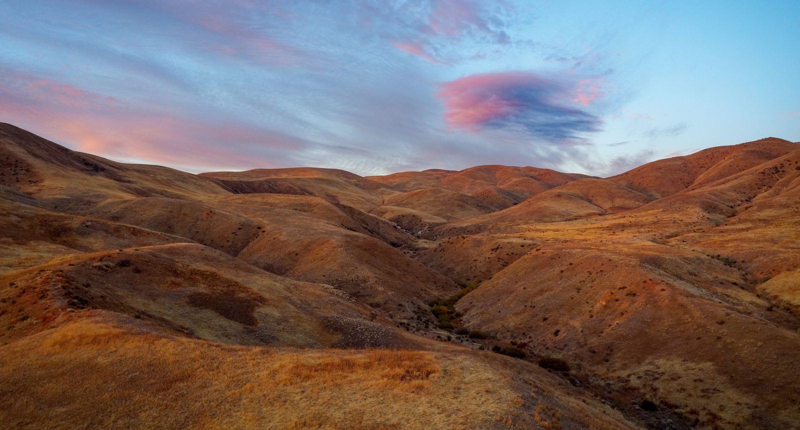 The Highlands at Cartwright Ranch