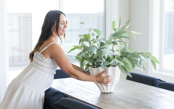 How to Personalize Your New Brighton Home Without Breaking the Budget