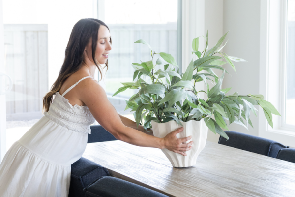 decorating a brighton home